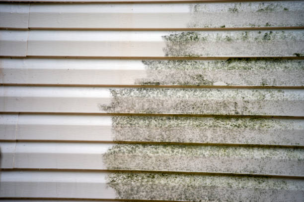 Best Basement Cleanout  in Leonville, LA